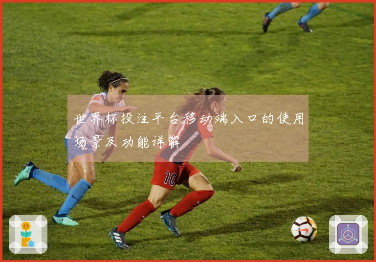世界杯投注平台移动端入口的使用场景及功能详解