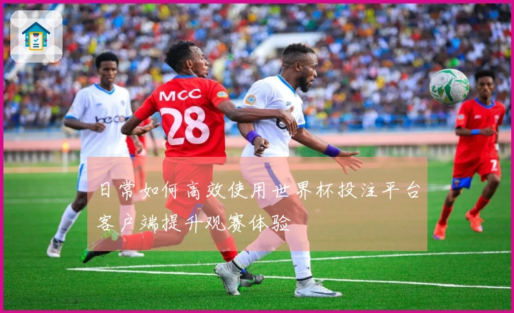 日常如何高效使用世界杯投注平台客户端提升观赛体验