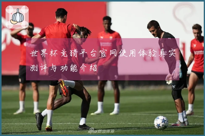 世界杯竞猜平台官网使用体验真实测评与功能介绍