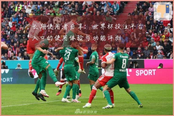 长期使用者分享：世界杯投注平台入口的使用体验与功能评测