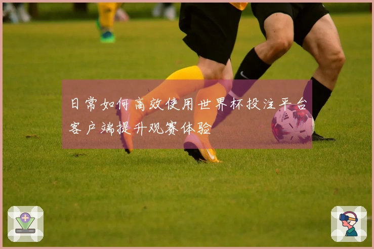 日常如何高效使用世界杯投注平台客户端提升观赛体验
