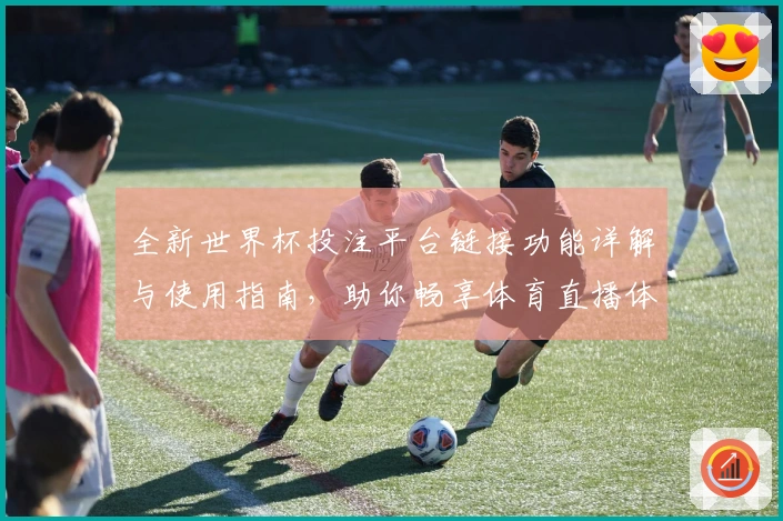 全新世界杯投注平台链接功能详解与使用指南，助你畅享体育直播体验