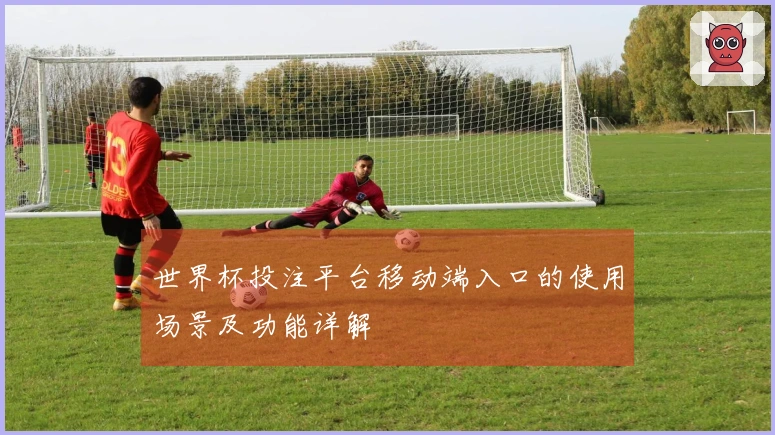 世界杯投注平台移动端入口的使用场景及功能详解