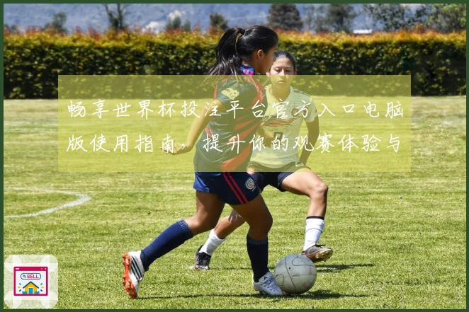 畅享世界杯投注平台官方入口电脑版使用指南，提升你的观赛体验与功能掌握