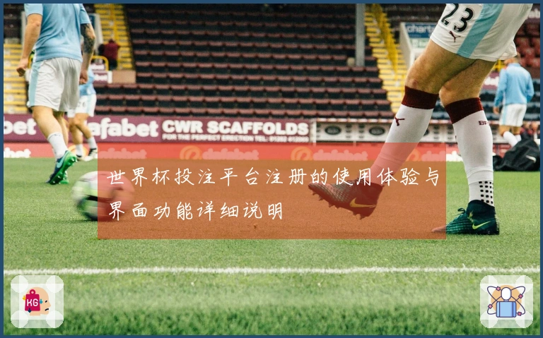 世界杯投注平台注册的使用体验与界面功能详细说明